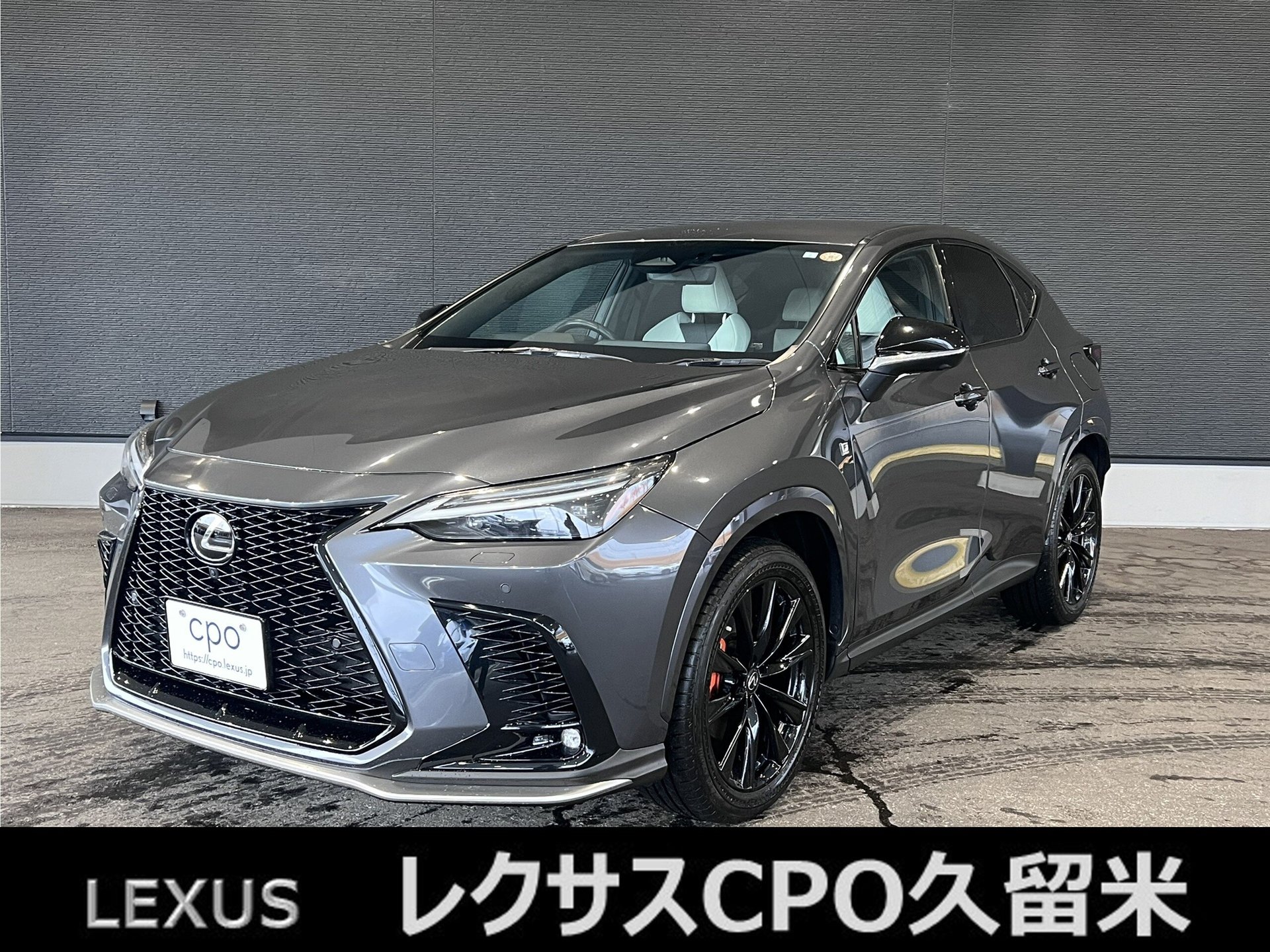 LEXUS NX - View 1