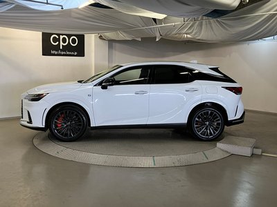 LEXUS RX - 10