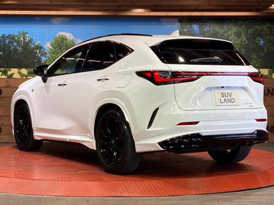 2024 Lexus NX — миниатюра 29