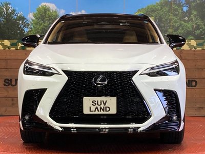 2024 Lexus NX — миниатюра 14
