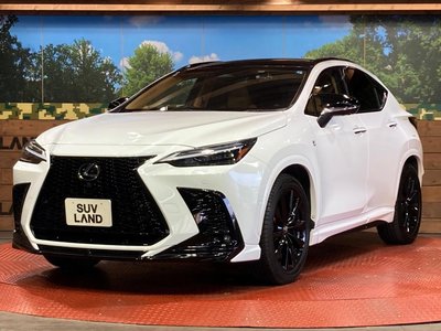 2024 Lexus NX — миниатюра 27