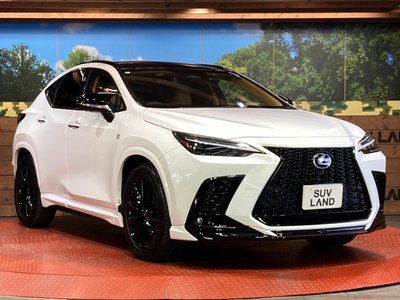 2024 Lexus NX — миниатюра 16