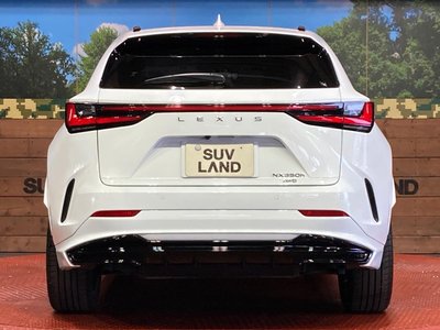 2024 Lexus NX — миниатюра 15