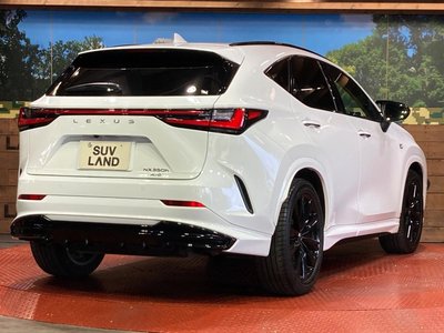 2024 Lexus NX — миниатюра 17