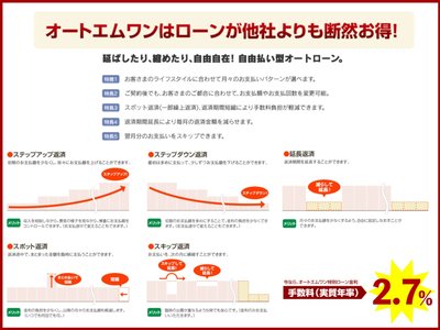 TOYOTA LAND CRUISER 250 - 3