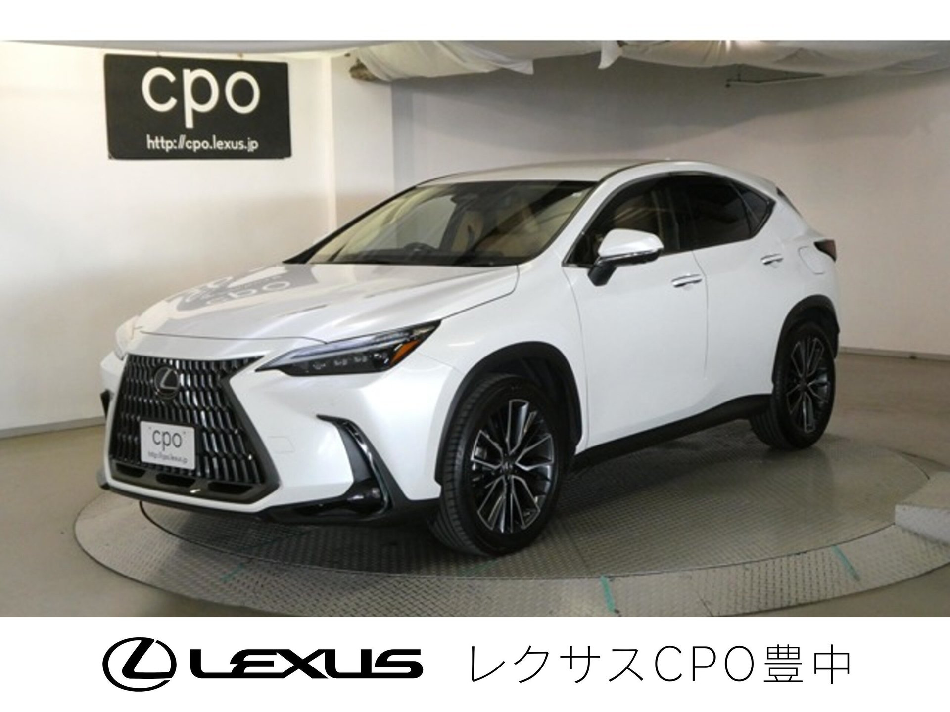 LEXUS NX - View 1