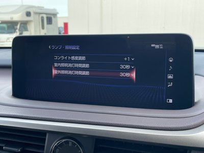 2020 Lexus RX 缩略图 20