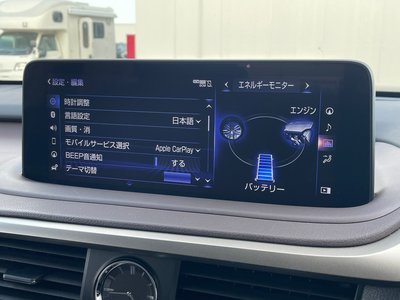2020 Lexus RX 缩略图 22