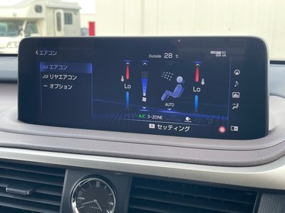 2020 Lexus RX 缩略图 18