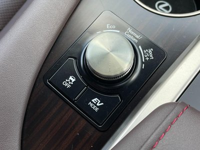 2020 Lexus RX 缩略图 25