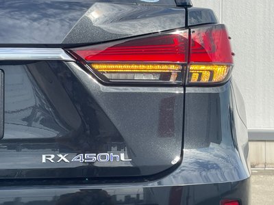 2020 Lexus RX 缩略图 63