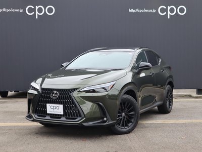 LEXUS NX - 1