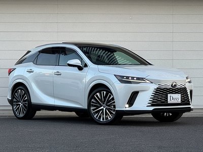 LEXUS RX - 7