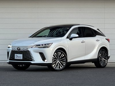 LEXUS RX - 6