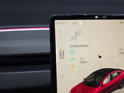 2024 Tesla MODEL 3 — миниатюра 12