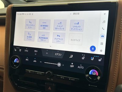 2025 Toyota VELLFIRE 缩略图 11