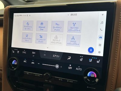 2025 Toyota VELLFIRE 照片 10