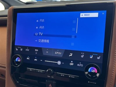 2025 Toyota VELLFIRE 缩略图 33
