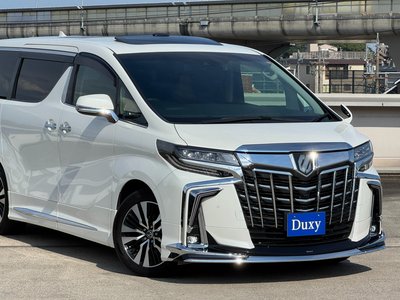 2022 Toyota ALPHARD 缩略图 19