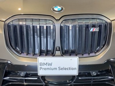 2023 BMW X7 — миниатюра 18