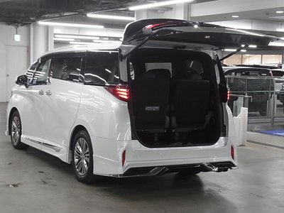 2024 TOYOTA ALPHARD 缩略图 23