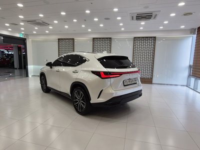 2022 Lexus NX 照片 4