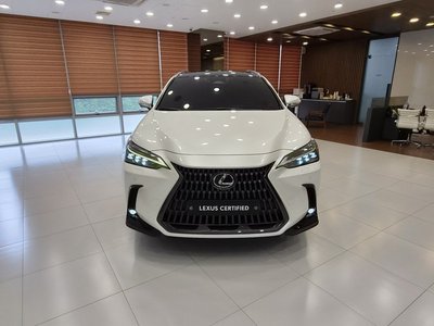 2022 Lexus NX 照片 2