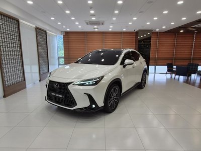 2022 Lexus NX 照片 1