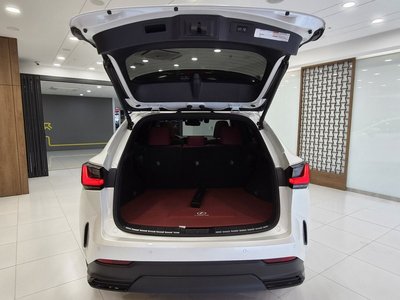 2022 Lexus NX 照片 6