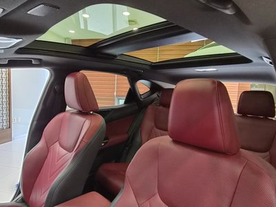 2022 Lexus NX 照片 8