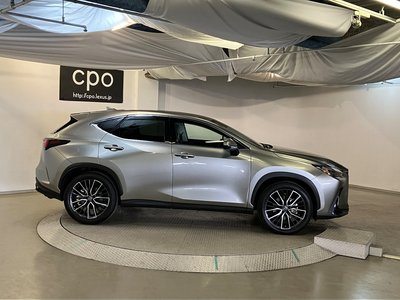 LEXUS NX - 10