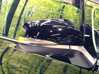 2021 TOYOTA ALPHARD 缩略图 38