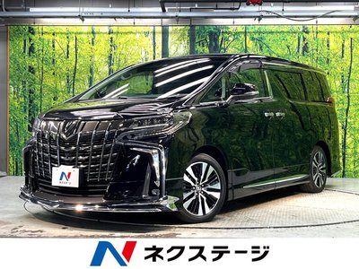2021 TOYOTA ALPHARD 照片 1