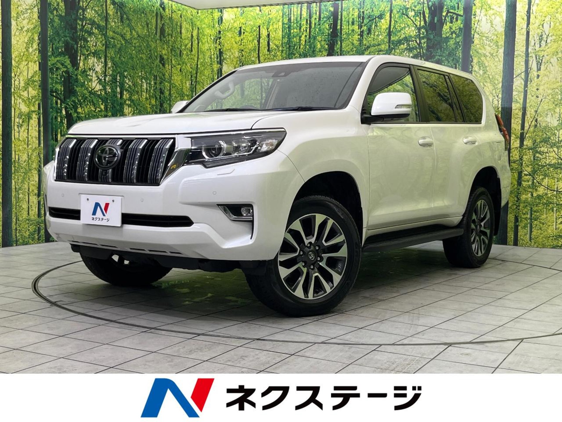 TOYOTA LAND CRUISER PRADO - View 1