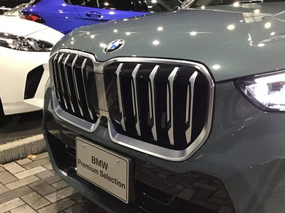 BMW X1 - 10