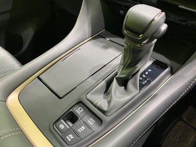 2025 TOYOTA ALPHARD — миниатюра 24