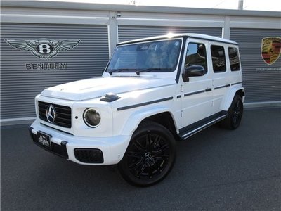 MERCEDES-BENZ G-CLASS - 1