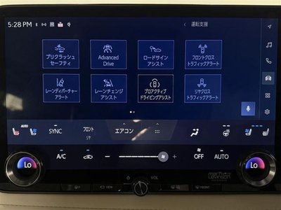 2024 Lexus LM — миниатюра 44