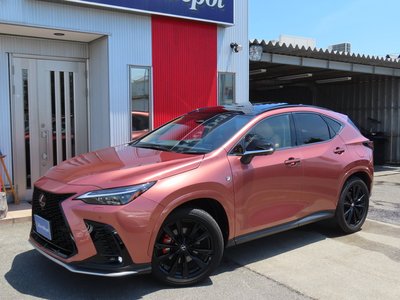 LEXUS NX - 2