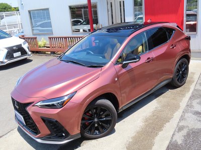 LEXUS NX - 3