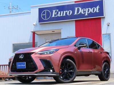 LEXUS NX - 1