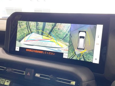 TOYOTA LAND CRUISER 250 - 5