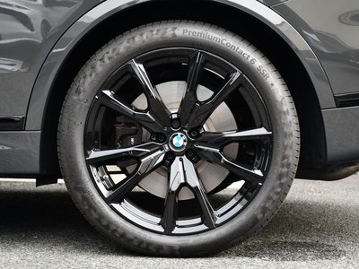 2023 BMW X7 缩略图 37