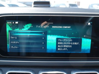 2024 Mercedes-BENZ GLE 缩略图 62