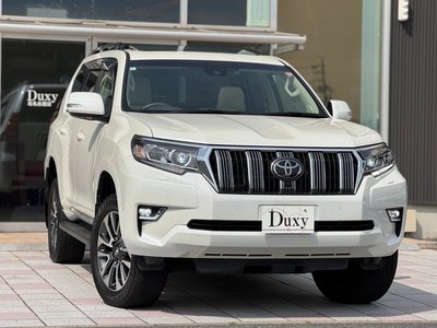 2024 Toyota LAND CRUISER PRADO 照片 6