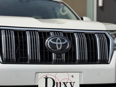 2024 Toyota LAND CRUISER PRADO 缩略图 17