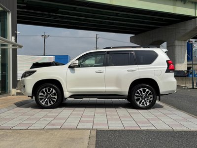2024 Toyota LAND CRUISER PRADO 缩略图 30