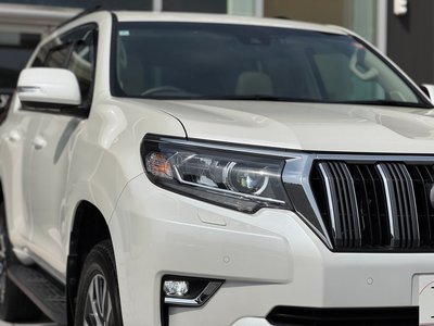 2024 Toyota LAND CRUISER PRADO 缩略图 19