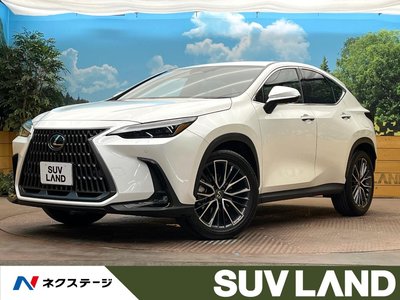 LEXUS NX - 1