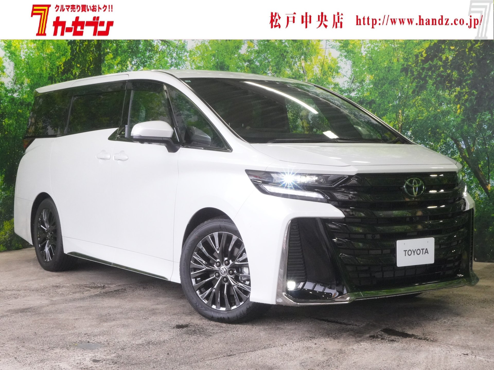 TOYOTA VELLFIRE - View 1